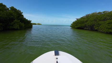 pov observando el manglar tropical prístino mientras navega en un barco de pesca, el mar del caribe los rocas