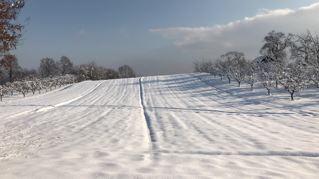 눈으로 덮인 숲에서 아침 하이킹