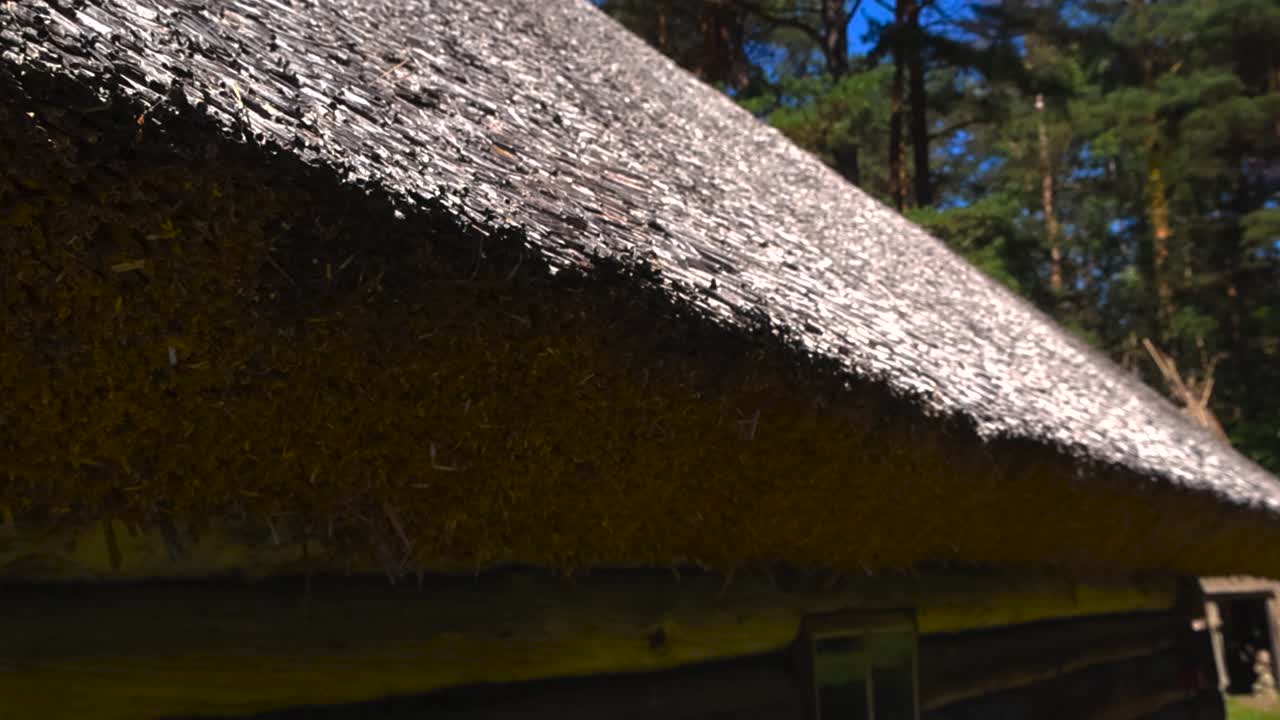 Close up view of a traditional thatched roof made out of wheat and reed in a open air museum on a wooden log building at a sunny day with blue sky and pine trees visible in the bokeh blurry background