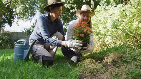 caucasian lesbian couple wearing hats gardening together in the garden