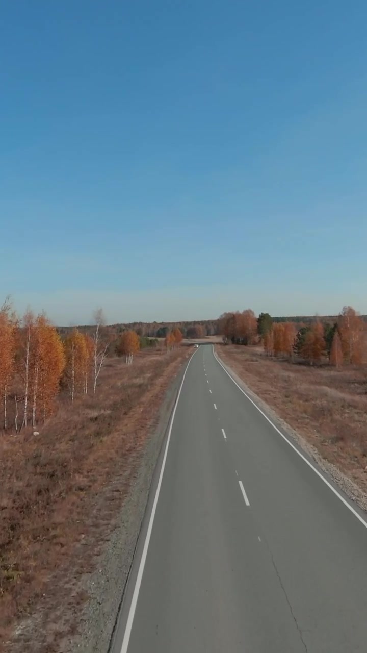 Riprese aeree dall'alto di una strada asfaltata dritta e vuota che attraversa la campagna autunnale con alberi arancioni e campi secchi, concetto di percorso di viaggio e libertà.