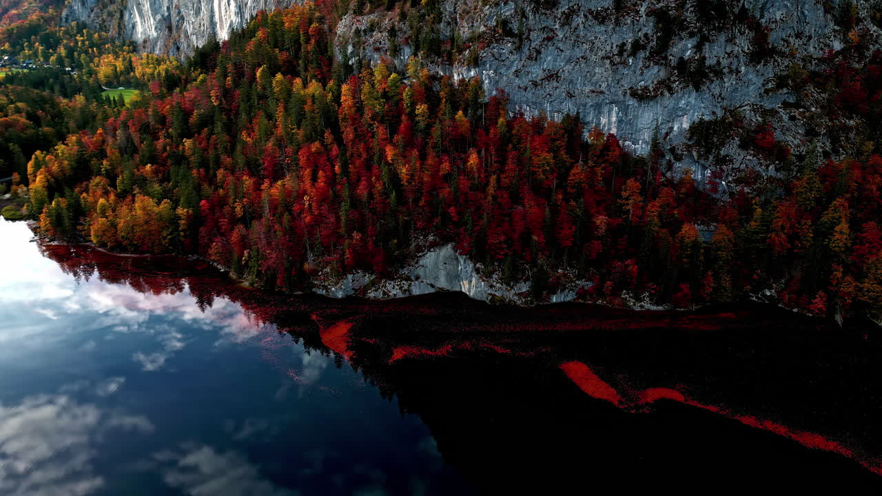 denso follaje de otoño en el bosque de montaña de los alpes austriacos, europa