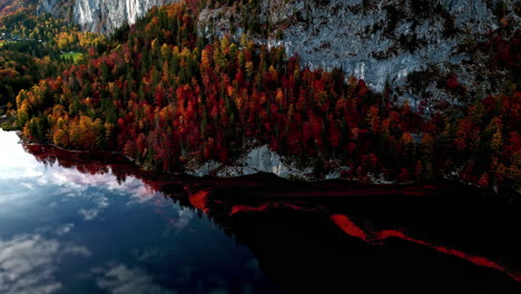 dense autumn foliage in the mountain forest of austrian alps, europe