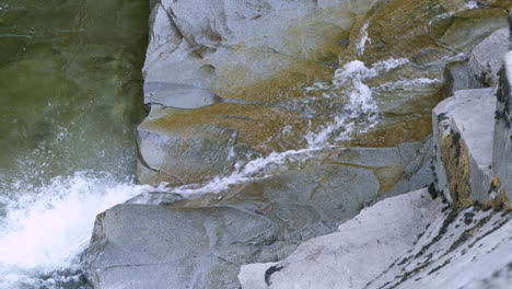 el salmón coho salta por una pequeña cascada que fluye sobre las rocas, vuelve a caer en la piscina