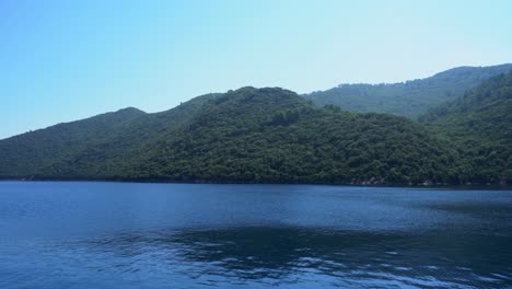 right pan of forested green island and calm coastline, summer day
