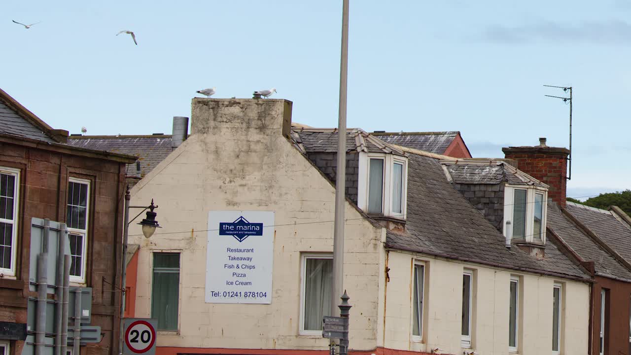 Seagull glides above brick townhouses under daylight, camera pans smoothly across Dundee street scene