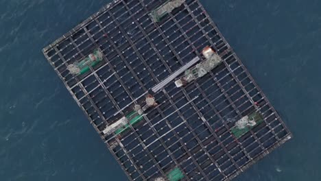 fascinating mussel cultivation raft, aerial topdown,closeup, rotating. galicia