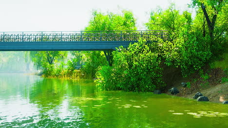 scenic lake in the summer park