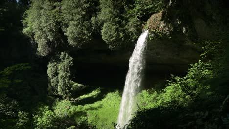 scenic view of north falls during spring in silver falls state park in oregon - static shot
