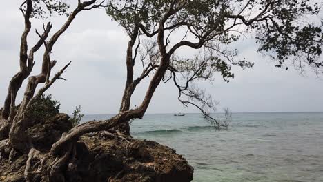 Un-Barco-De-Pesca-En-Alta-Mar-Es-Visible-Desde-La-Costa-Rocosa-De-La-Remota-Isla-En-El-Mar-De-Andaman-En-India