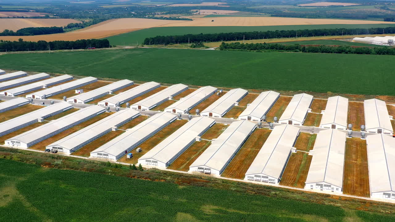 Poultry facility in rural area. Aerial view of new modern poultry farms