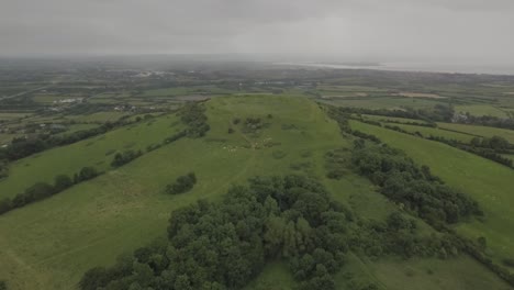 Brent-Knoll-In-Somerset-Mit-Schafen-Am-Hang