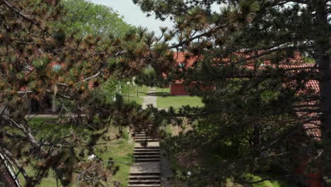 holiday cabins in european countryside forest, aerial reveal behind tree