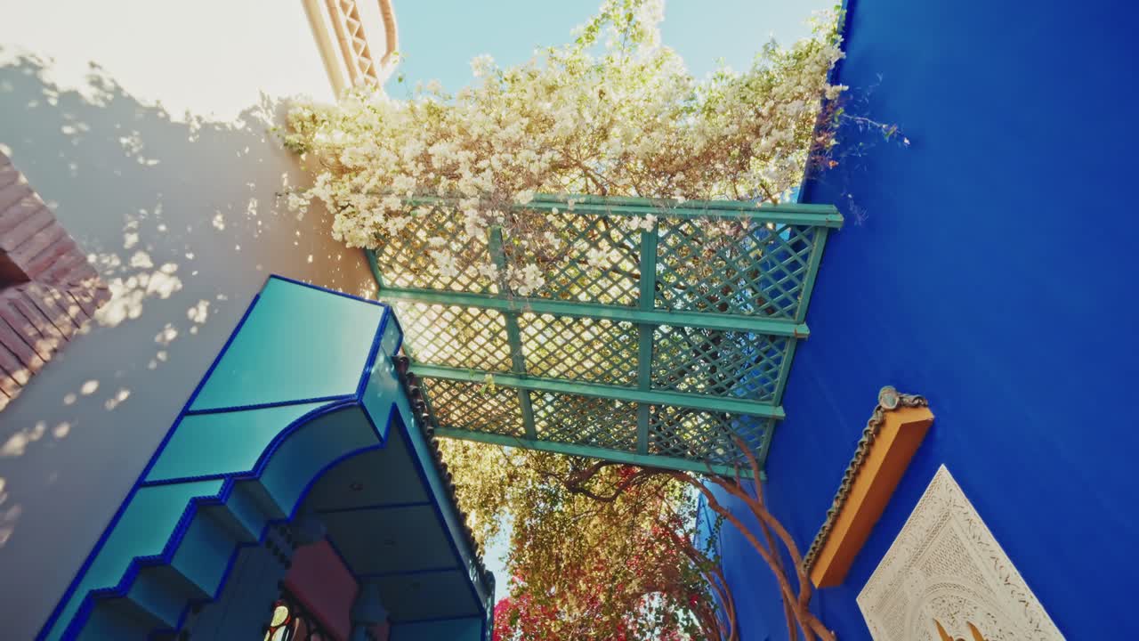 Walking through the Le Jardin Majorelle botanical garden, Marrakesh, Morocco.