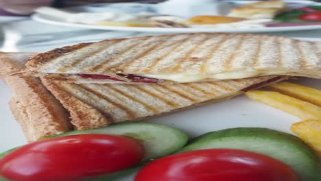 sándwich de queso a la parrilla con papas fritas y ensalada