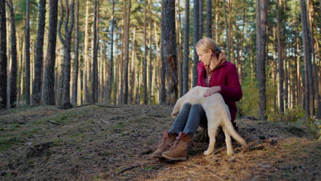 una mujer de mediana edad camina con un perro en un bosque de pinos, se sienta bajo los árboles.