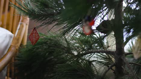 Male-hand-hanging-red-ornament-on-Christmas-pine-tree