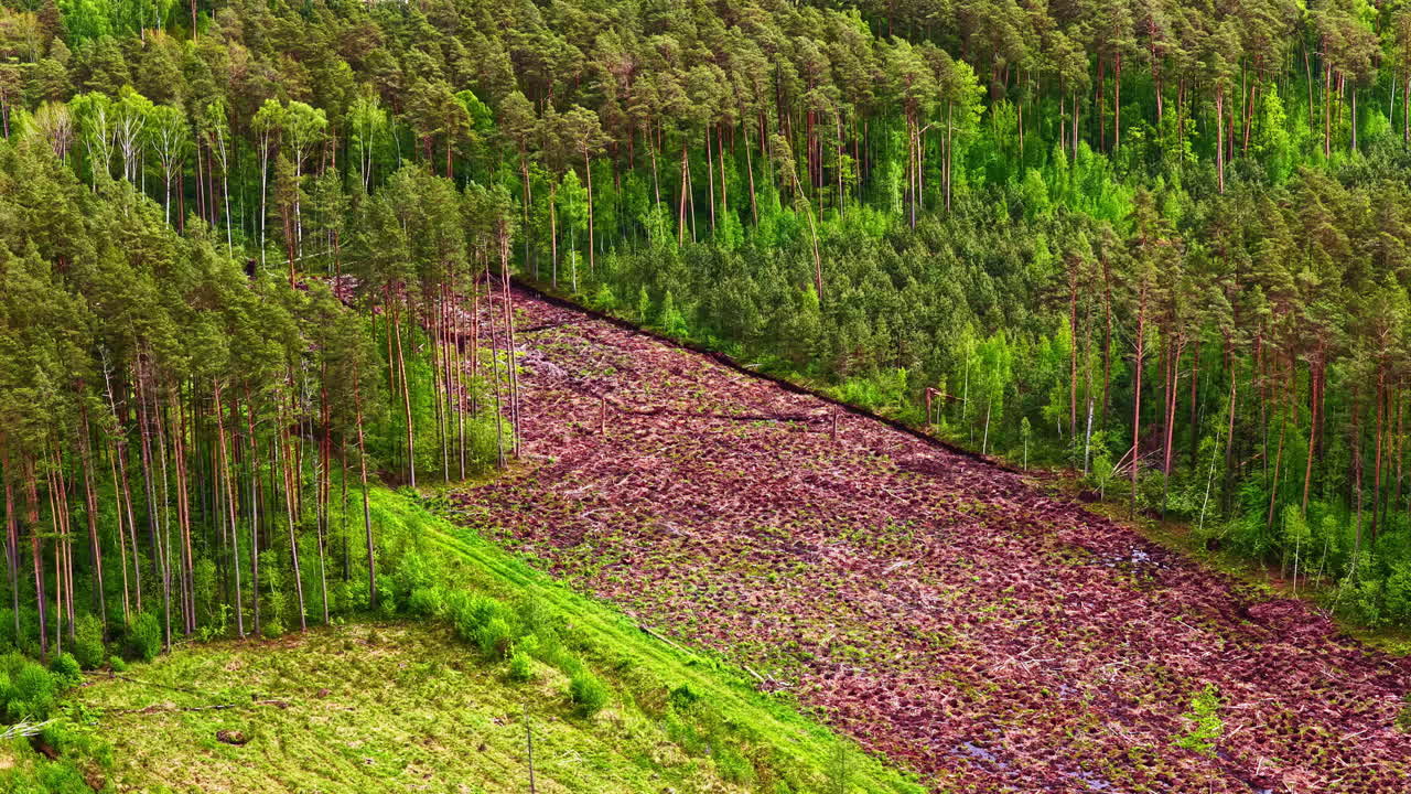 Drone view of deforestation site at forest edge with cleared and overgrown zones