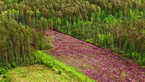 drone view of deforestation site at forest edge with cleared and overgrown zones