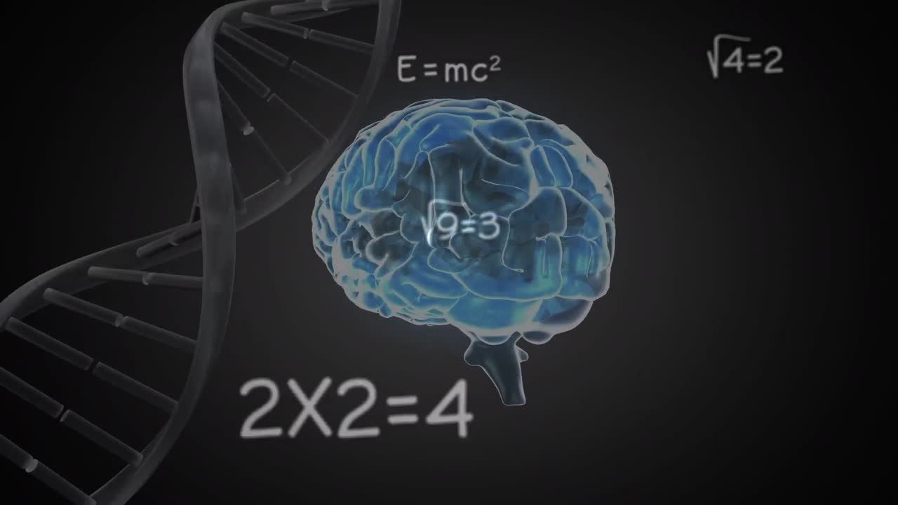 animación de ecuaciones matemáticas sobre el cerebro humano y estructura de adn giratoria en fondo negro