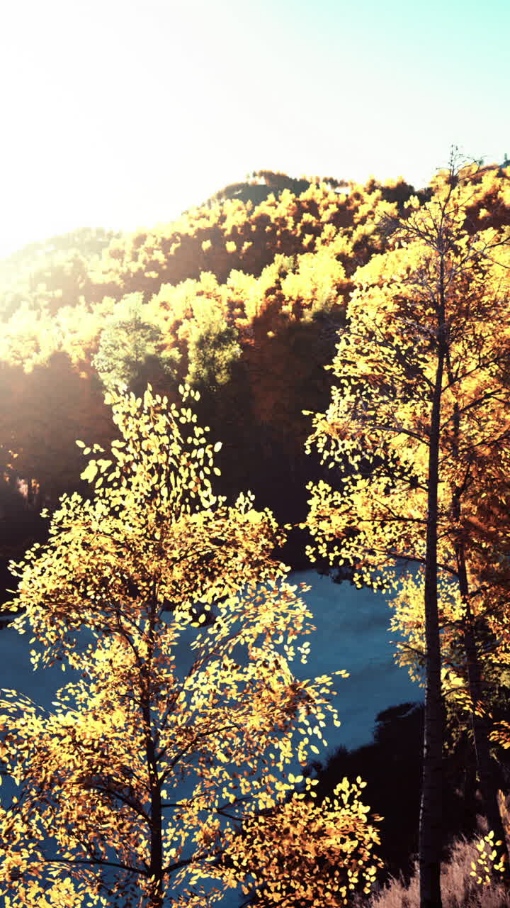 숲 속 의 가을 해 가 지는 것