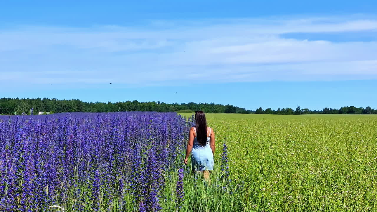 보라색 꽃과 푸른 초원, 이 좋은 날 한가운데에서 는 여자