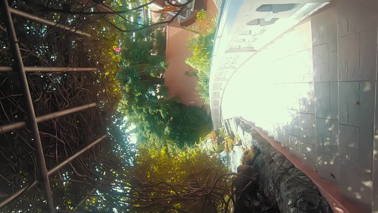 caminando en el templo