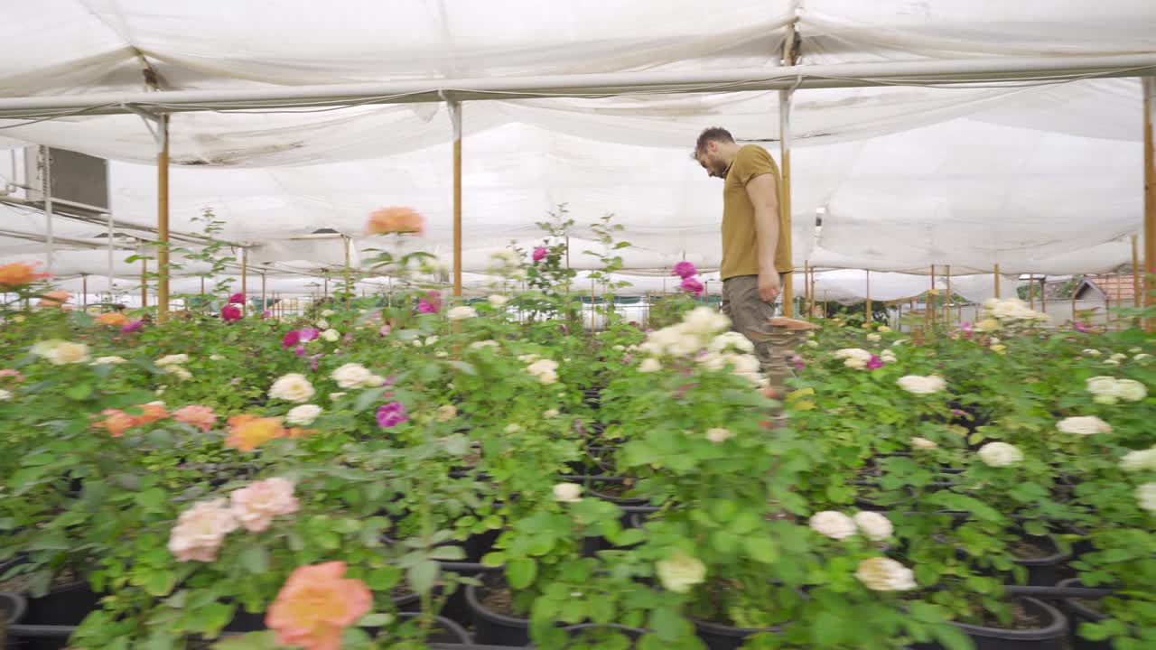 Giardiniere che controlla i fiori in serra