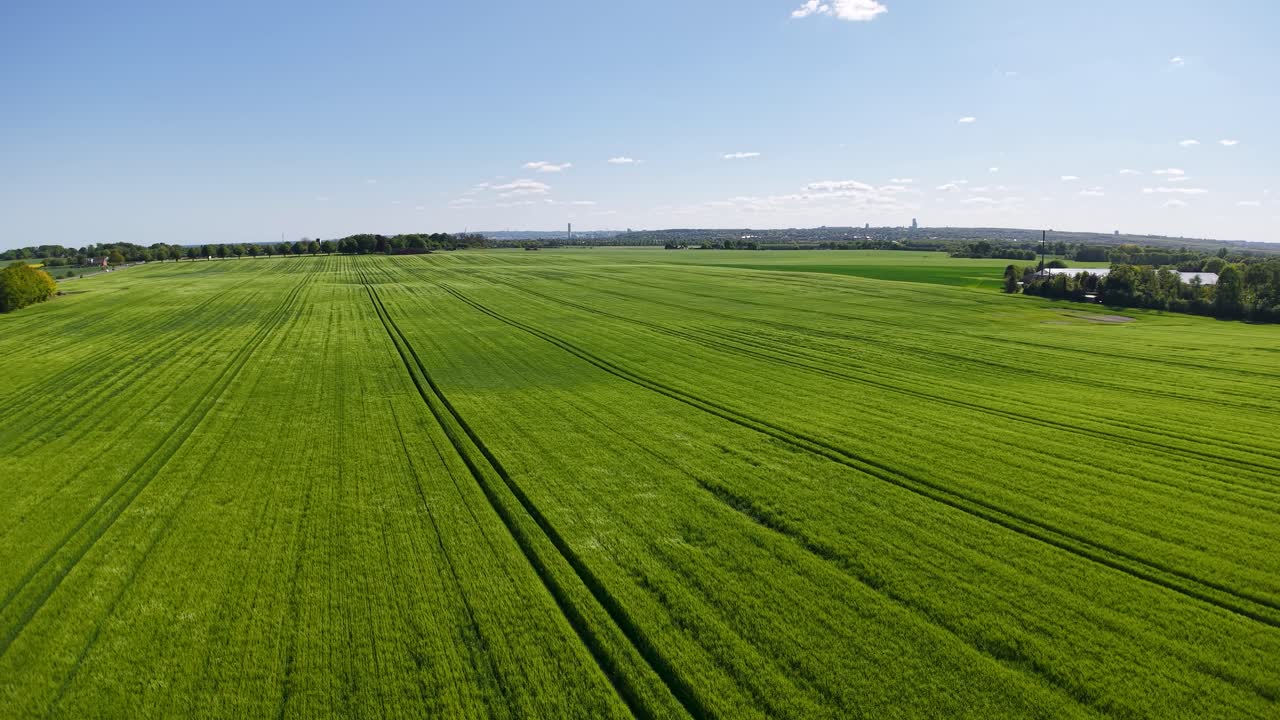 Aerial drone footage of vibrant green farmland in Denmark, showing wide open fields, crop lines, and blue sky during summer daylight