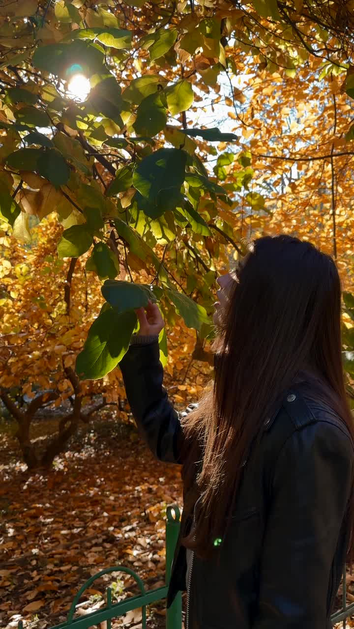 mujer en el parque durante el otoño