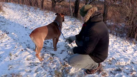 man talking with dog at outdoor in winter