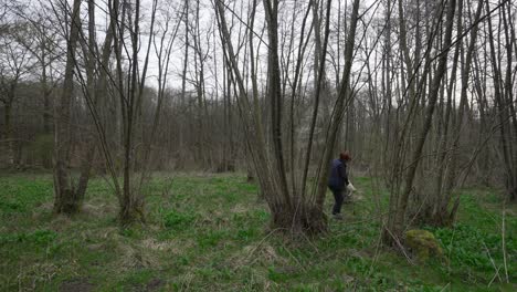 Frau-Pflückt-Und-Sammelt-Gebückt-Bärlauch-Im-Wald,-Weite-Aussicht