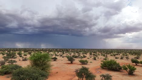 Toma-Aérea-Sobre-La-Sabana-Del-Kalahari,-Oscuras-Nubes-De-Lluvia-En-La-Distancia