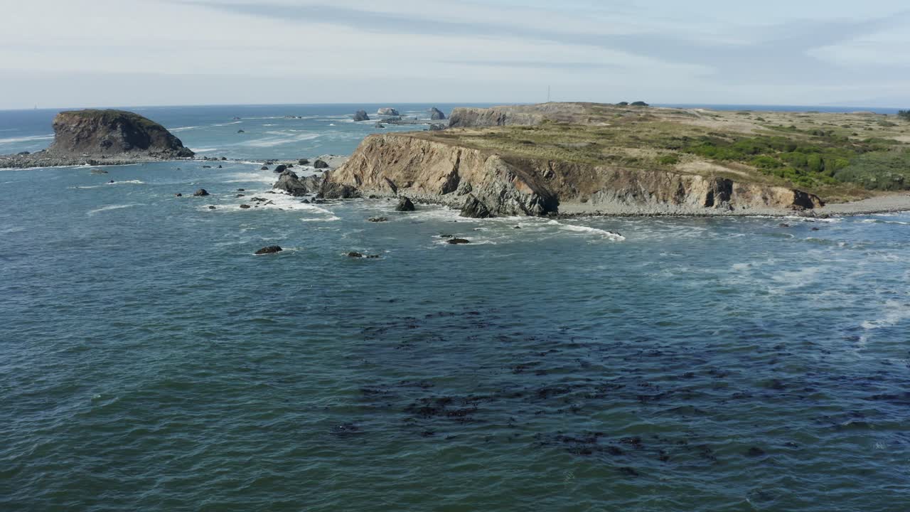Ripresa aerea statica con drone di una foresta di kelp marino vicino ad alte scogliere oceaniche in una giornata di sole, Oceano Pacifico, costa dell'Oregon.