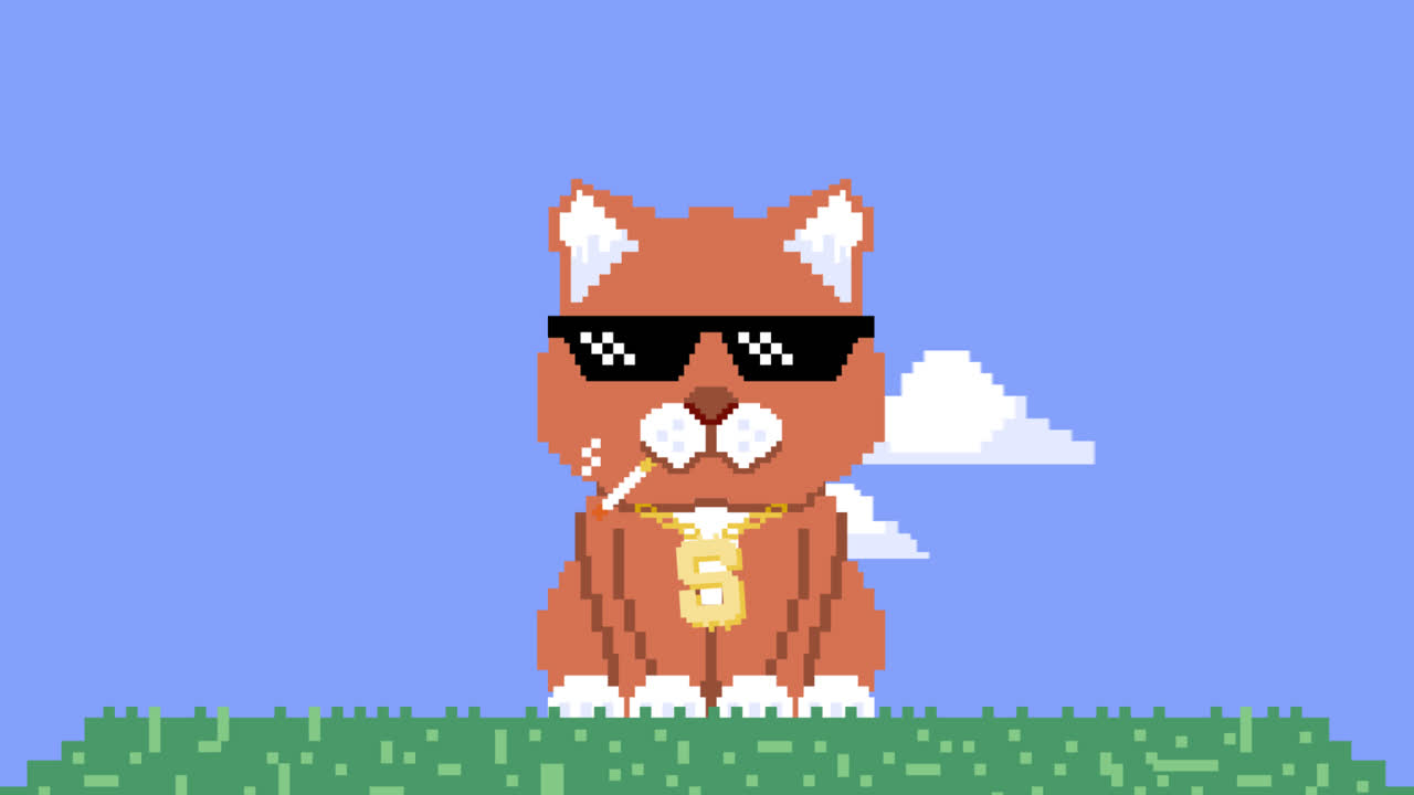 평평한 디자인의 모션 그래픽 투그 라이프 선글라스 일러스트레이션