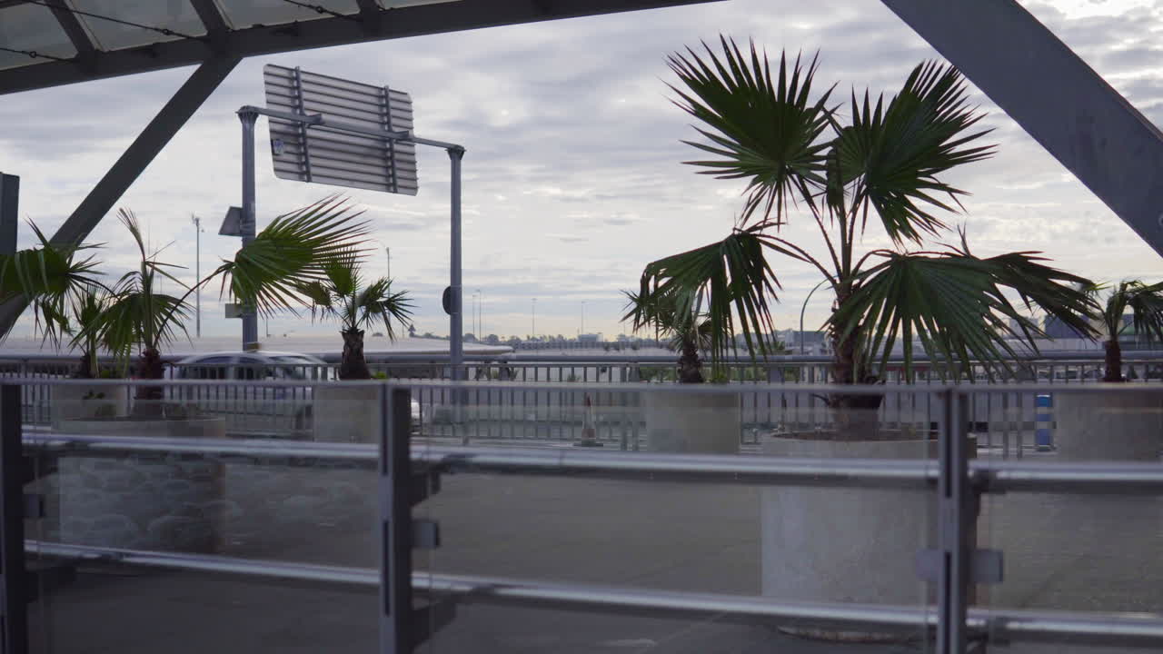 exuberantes olas de palmeras verdes en el viento con taxi pasando en el fondo