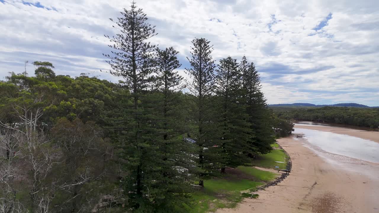 Drone glides above riverbank, pine trees, and grassy parkland under bright, partly cloudy sky