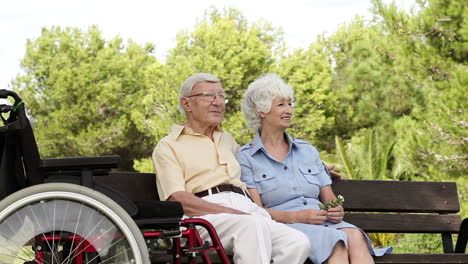 old lovers talking on a park bench