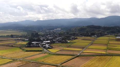 Lapso-De-Tiempo-Volando-Sobre-Los-Campos-De-Arroz-En-Las-Zonas-Rurales-De-Japón