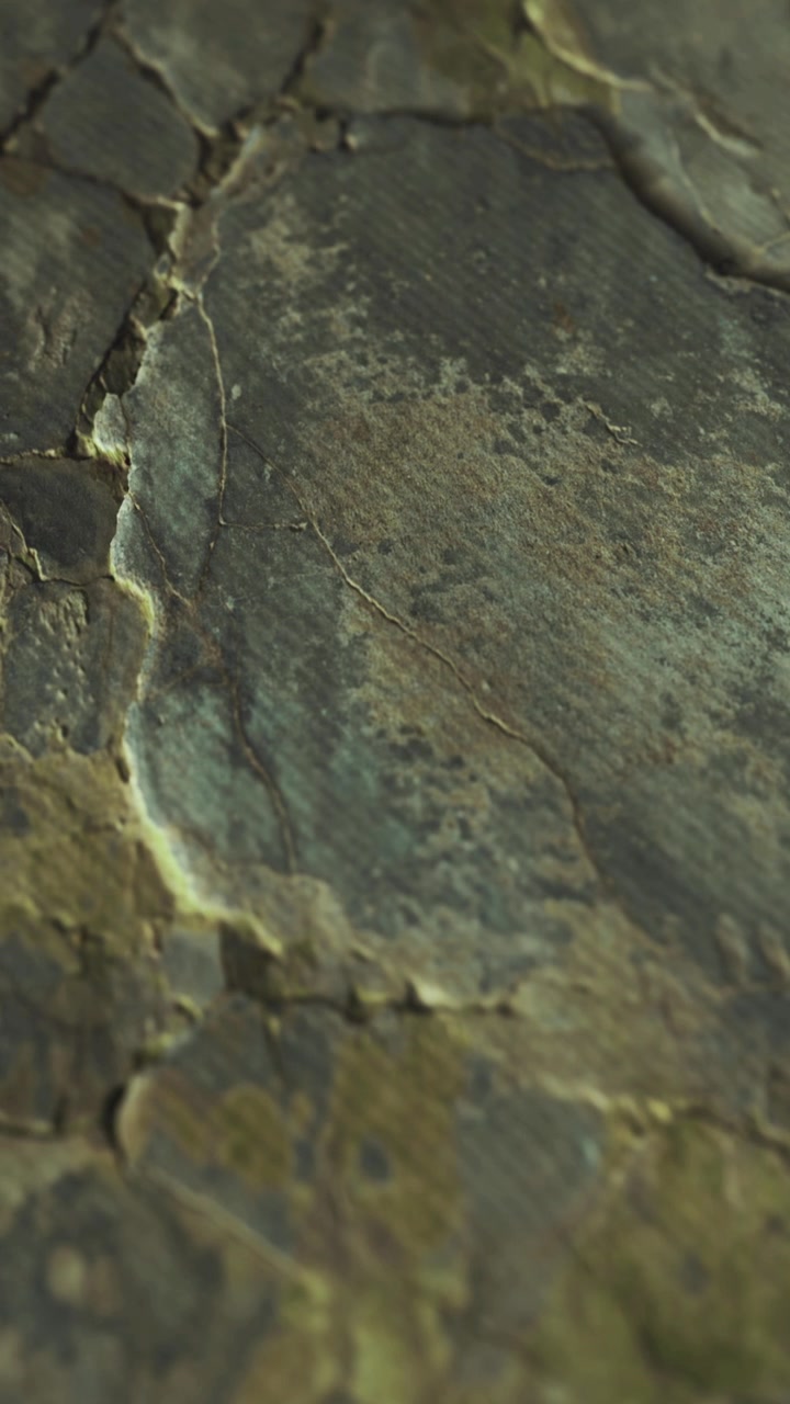 Close look at textured surface with cracks and layers in natural setting