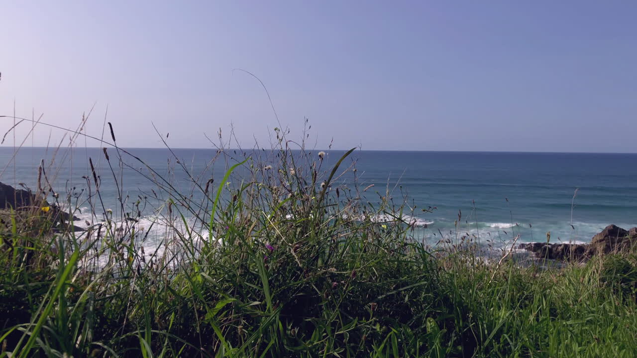 하얀 파도가 있는 해안의 화창한 날