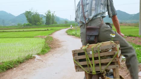 Vista-De-Un-Granjero-En-Bicicleta-A-Través-De-Un-Camino-Estrecho-Mientras-Se-Va-A-Trabajar-En-Su-Campo-De-Arroz-En-La-Ciudad-De-Lang-Son,-Vietnam