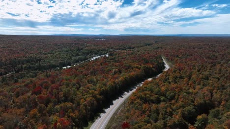 highway through dense fall forests - aerial drone shot