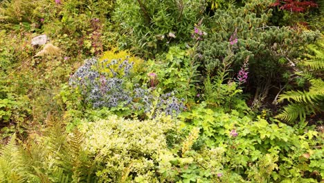 vibrant garden with diverse plant life