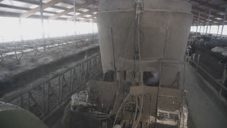 automated feeding system in a dairy farm