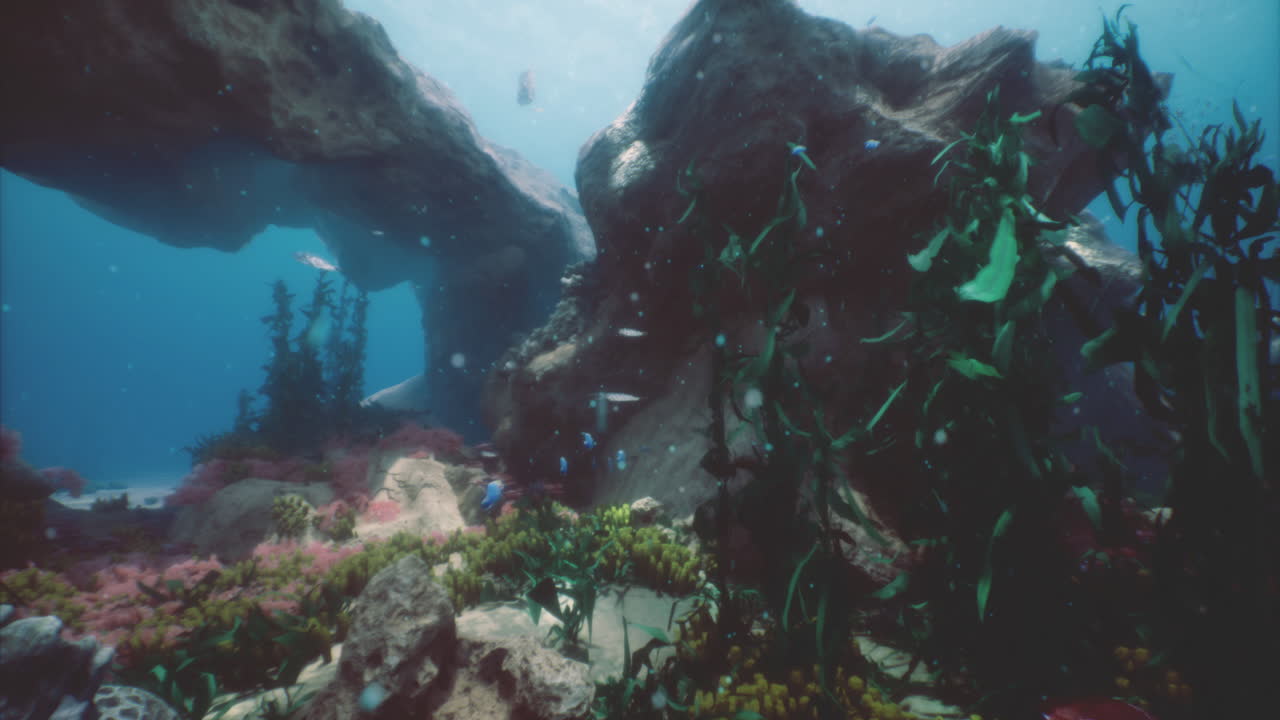 Underwater exploration in a vibrant marine environment with diverse marine life