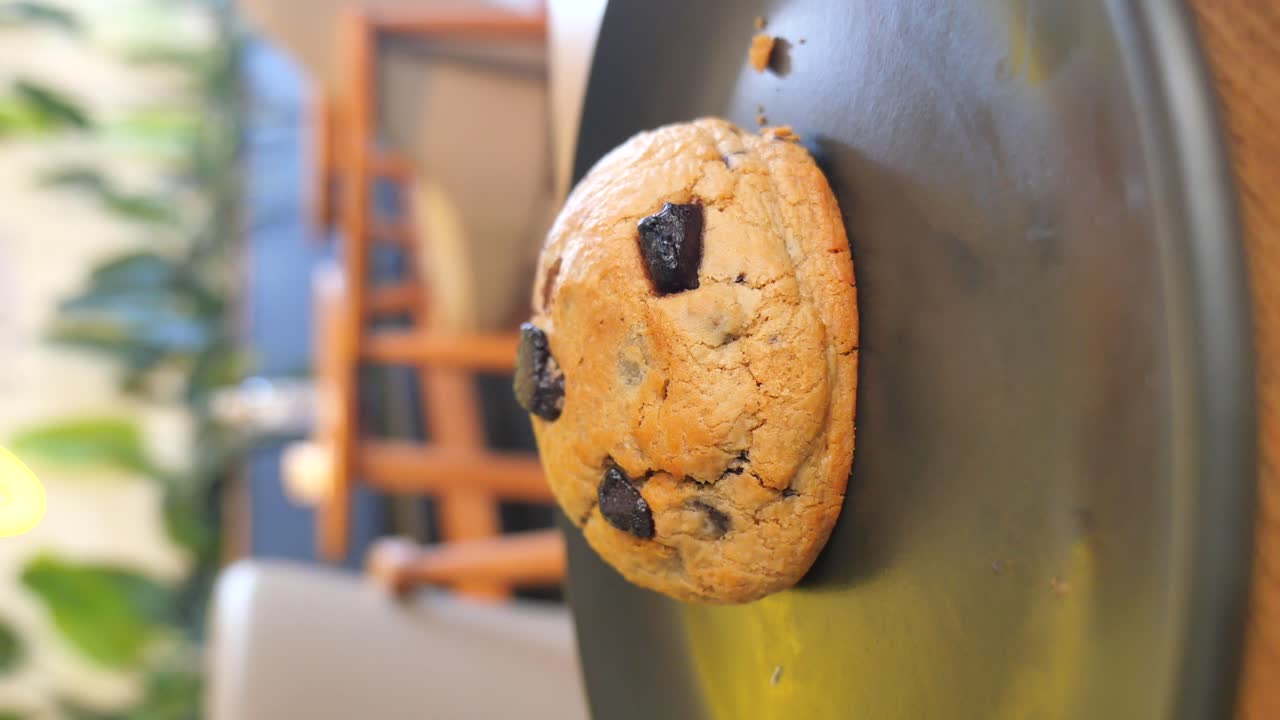 Close-up of a chocolate chip cookie