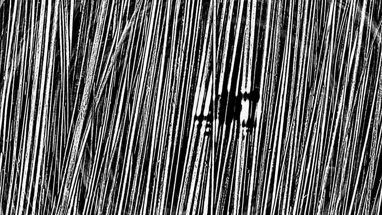 abstracto en blanco y negro detalle de la textura de la escoba fondo grunge animado movimiento rápido de derecha a izquierda. bucle sin costuras 4k. textura grunge de fondo de hierba seca para el espacio de copia.