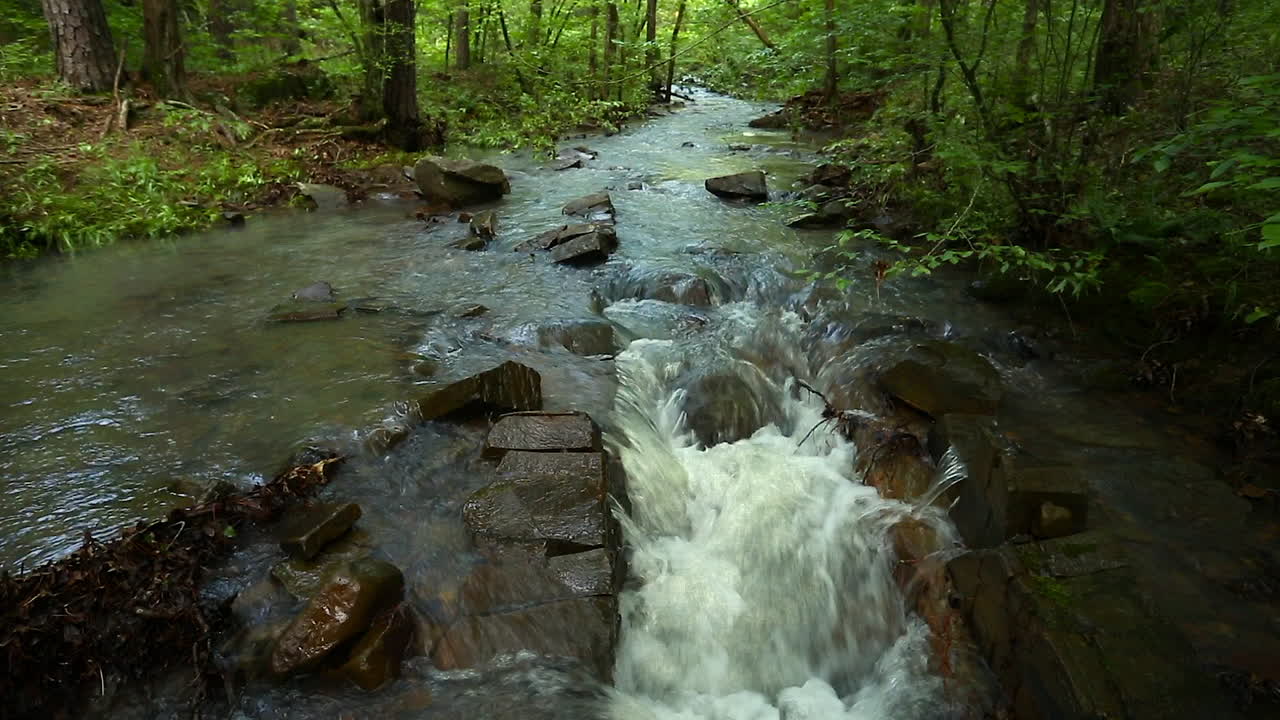 A creek flowing over, around and through rocks in a forest during the summer