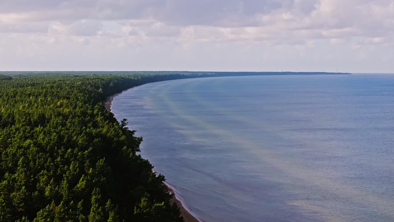 Cinematic drone shot moving sideways along forest coast under soft evening sky